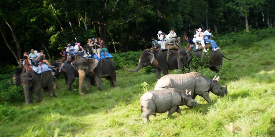 Chitwan Jungle safari tour