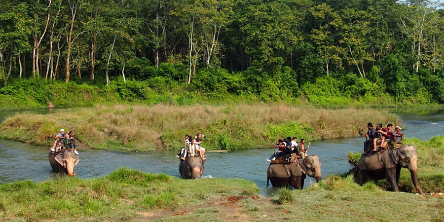 Jungle Safari tour in Nepal